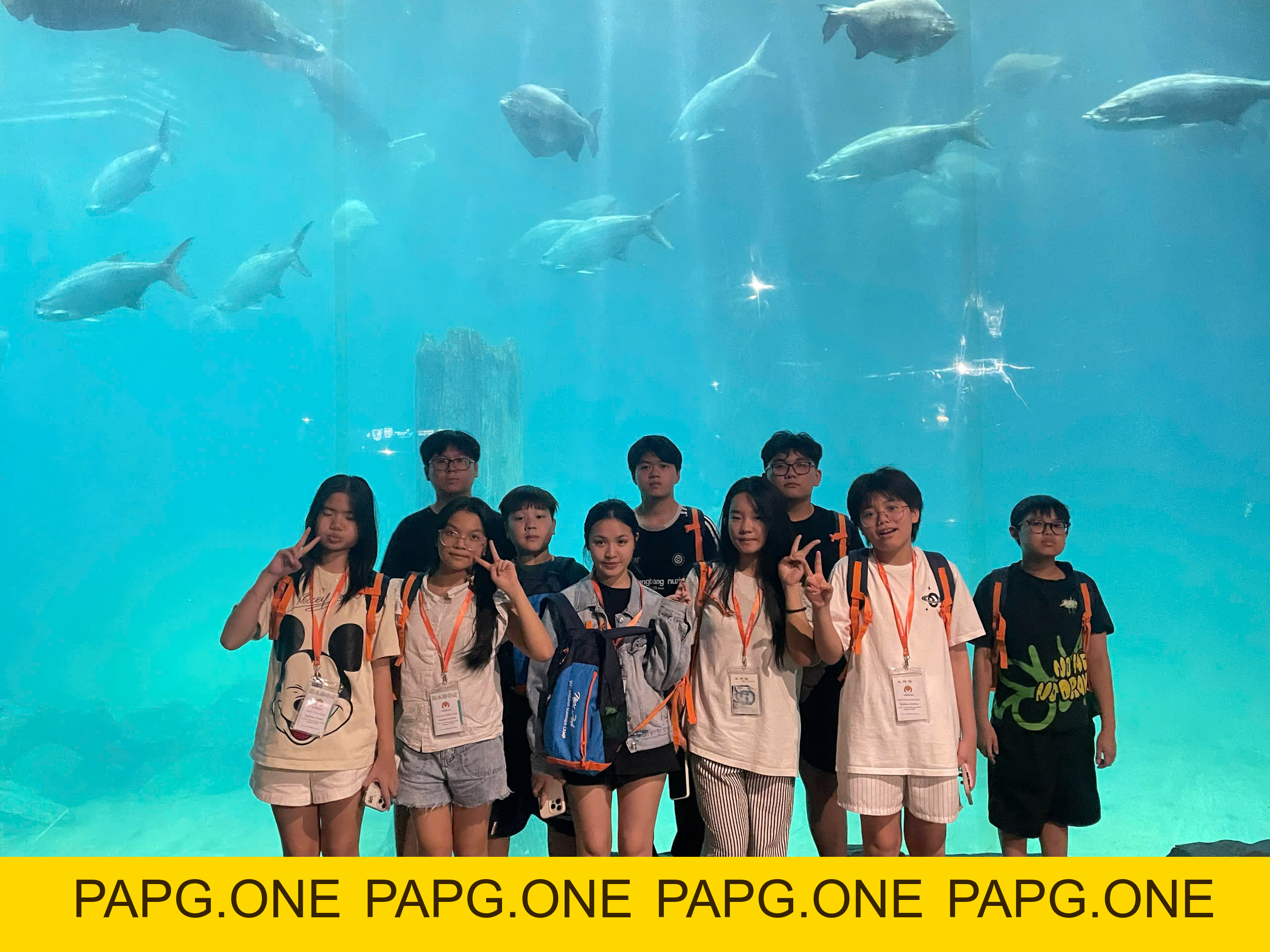 SUMMER CAMP 2026 - HÈ NÀY, CON SẼ KHÁC - papg.one