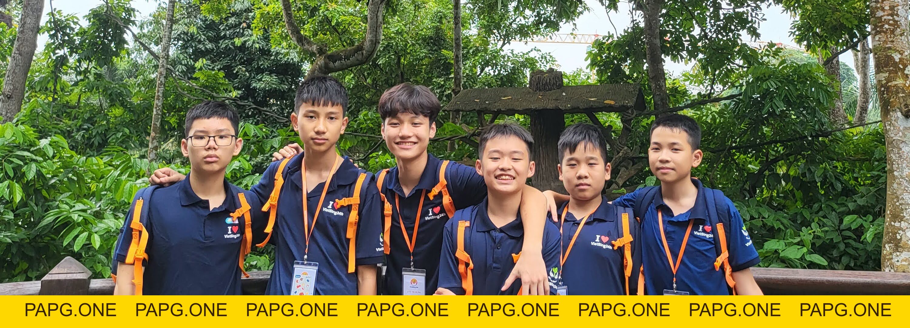 VIETSING24H EDU - papg.one