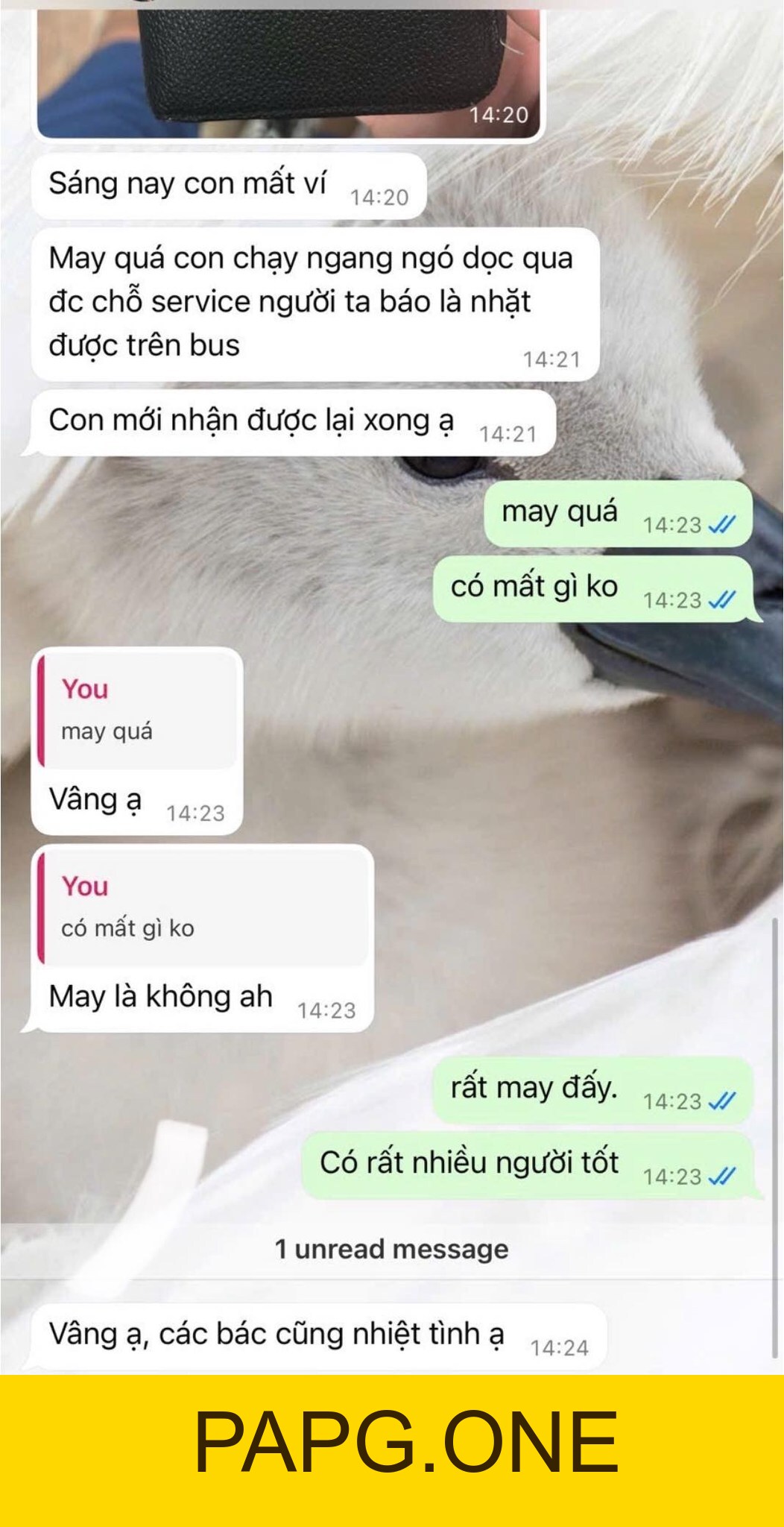 Mất/Quên đồ ở Singapore - papg.one