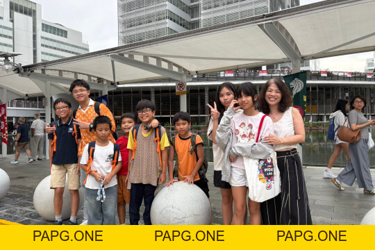LUYỆN THI AEIS CÔNG LẬP SINGAPORE - papg.one