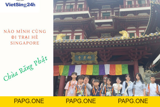 TRẠI HÈ SINGAPORE CÙNG VIETSING24H - papg.one