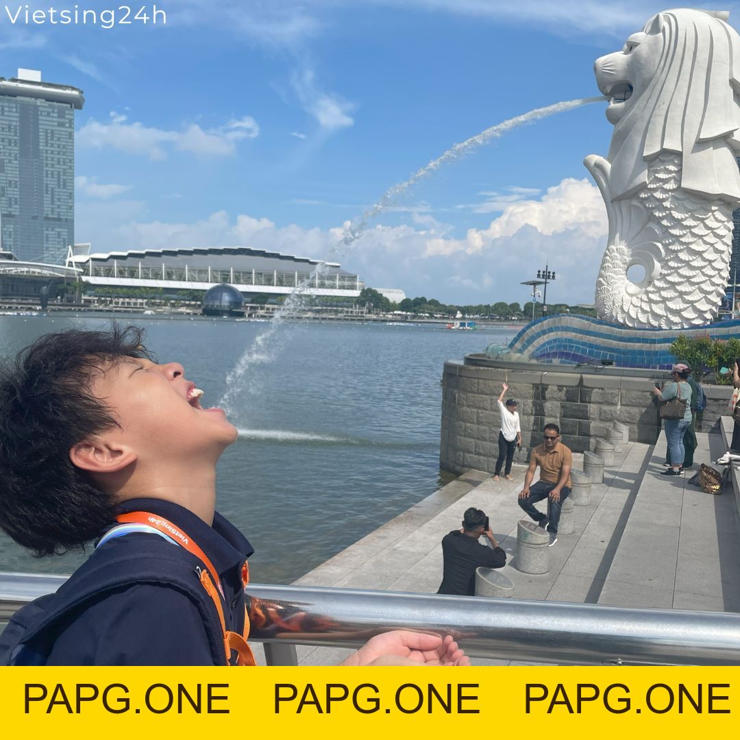Tham quan Merlion Park - papg.one