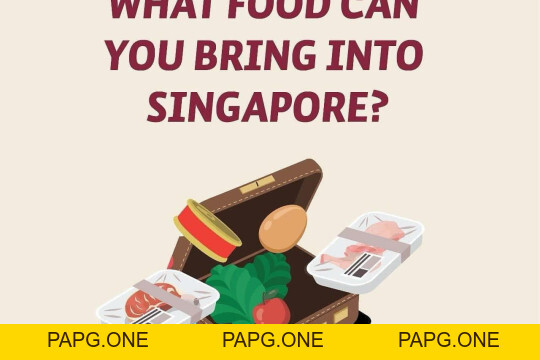 Cuộc sống tại Singapore - papg.one
