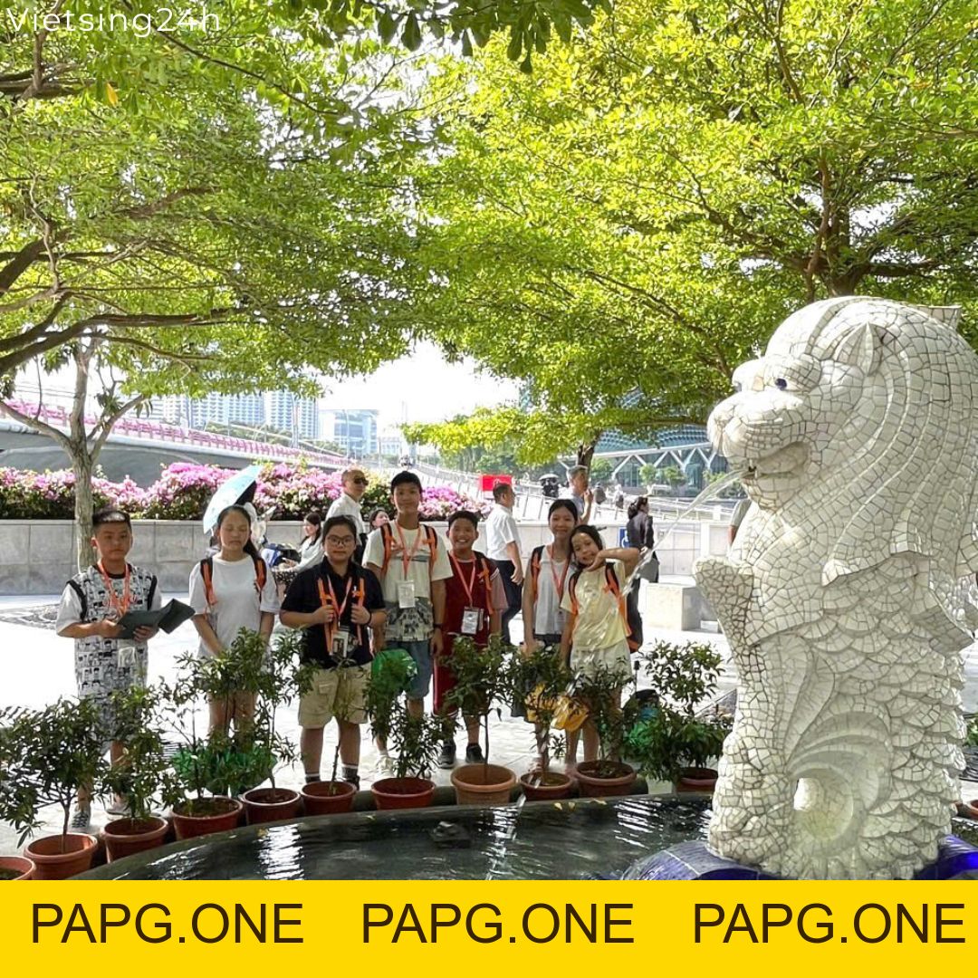 Tham quan Merlion Park - papg.one