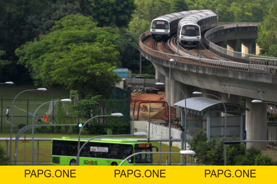 Cuộc sống tại Singapore - papg.one
