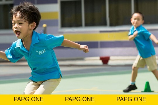 DU HỌC MẪU GIÁO, MẦM NON - papg.one