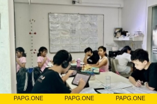 Album ảnh - papg.one