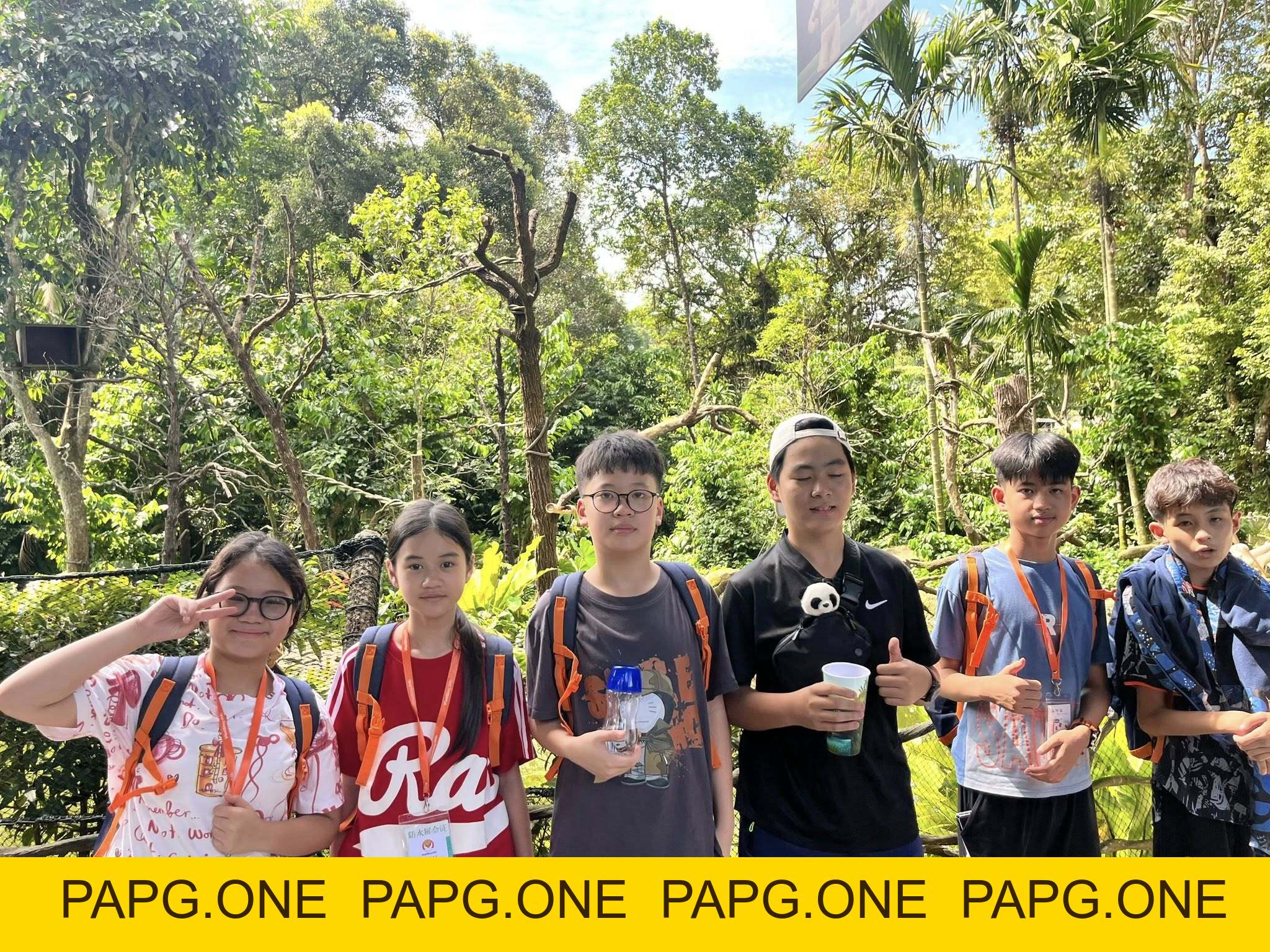 Camp 1 - Summer camp 2026 - papg.one