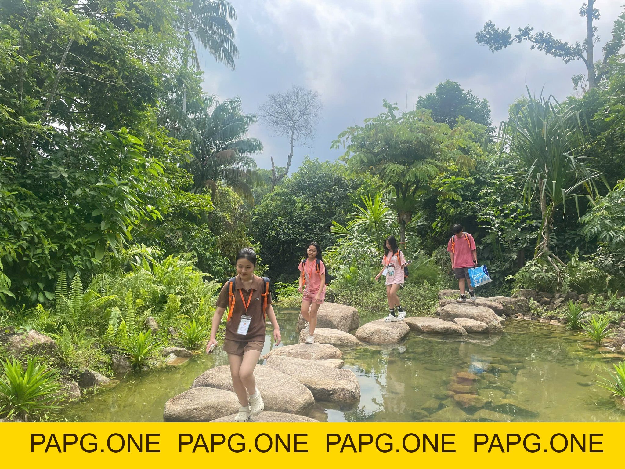 Summer camp 2026 - camp 2 - papg.one