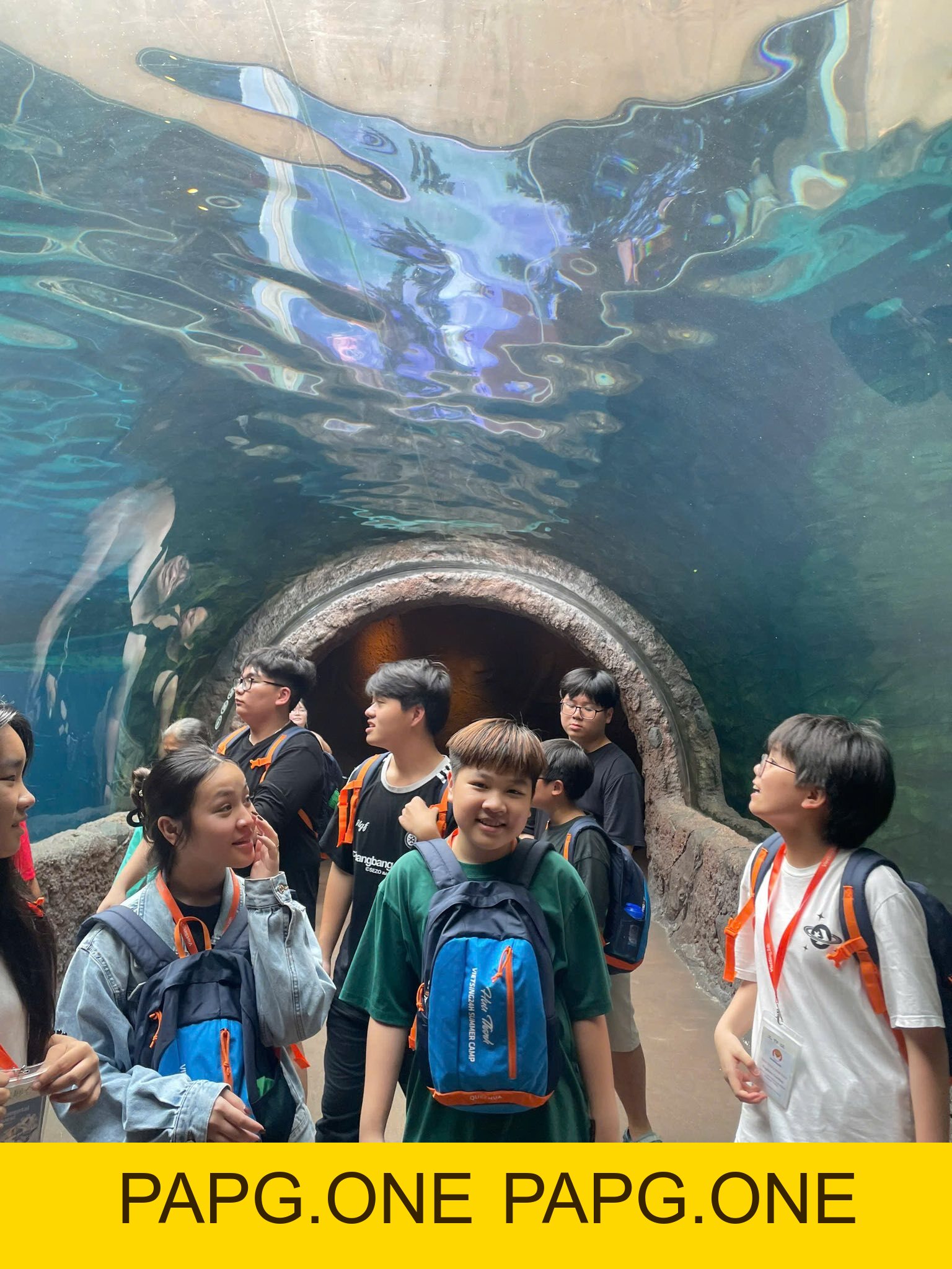 Summer camp 2026 - camp 2 - papg.one