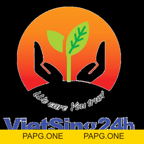VIETSING24H EDU - papg.one