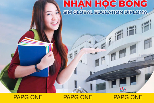 ĐỐI TÁC CỦA VIETSING24H - papg.one
