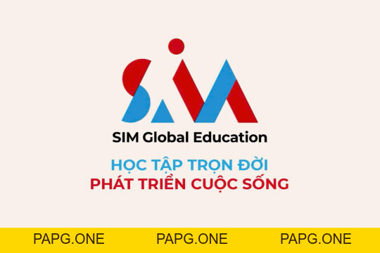 ĐỐI TÁC CỦA VIETSING24H - papg.one