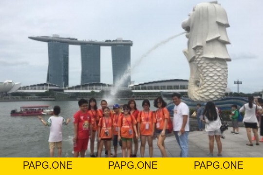 Album ảnh - papg.one