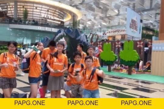 Album ảnh - papg.one