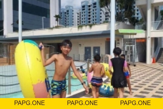 Album ảnh - papg.one