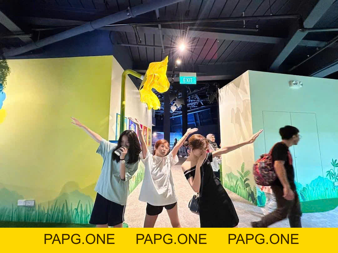 HỌC ra HỌC mà CHƠI ra CHƠI - papg.one