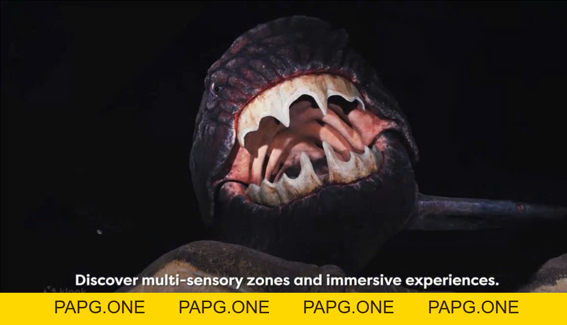 SINGAPORE OCEANARIUM - papg.one