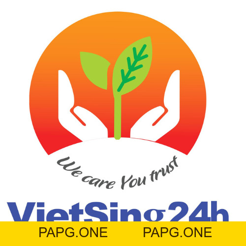 VIETSING24H EDU - papg.one