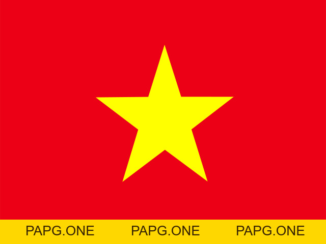 VIETSING24H EDU - papg.one