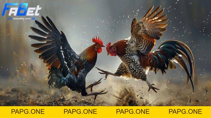 Bắn cá Fabet: Đồ họa đẹp mắt, tỷ lệ thắng cao - papg.one
